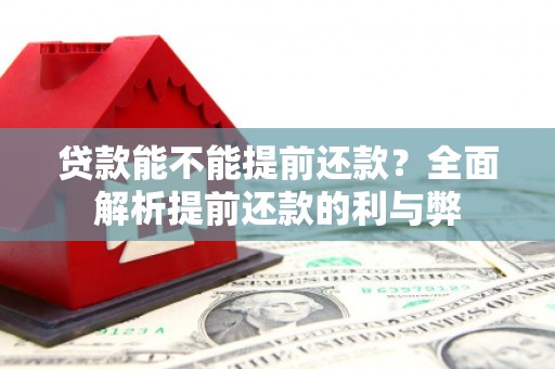 高树贷款能不能提前还款？全面解析提前还款的利与弊