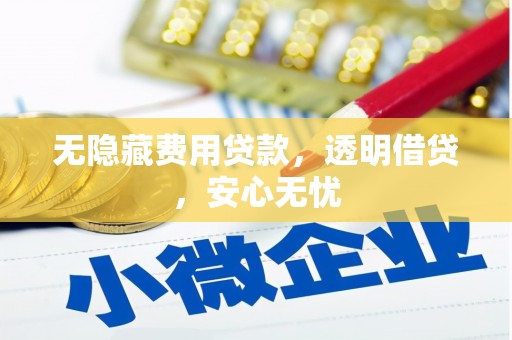 高树无隐藏费用贷款，透明借贷，安心无忧