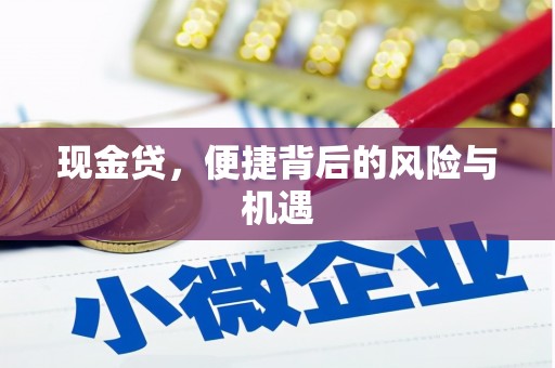 高树现金贷，便捷背后的风险与机遇