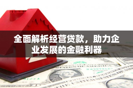 高树全面解析经营贷款，助力企业发展的金融利器