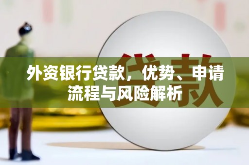 高树外资银行贷款，优势、申请流程与风险解析