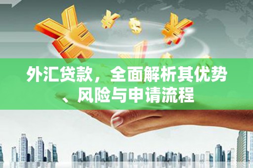 高树外汇贷款，全面解析其优势、风险与申请流程