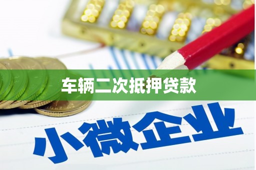 高树车辆二次抵押贷款