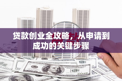 高树贷款创业全攻略，从申请到成功的关键步骤
