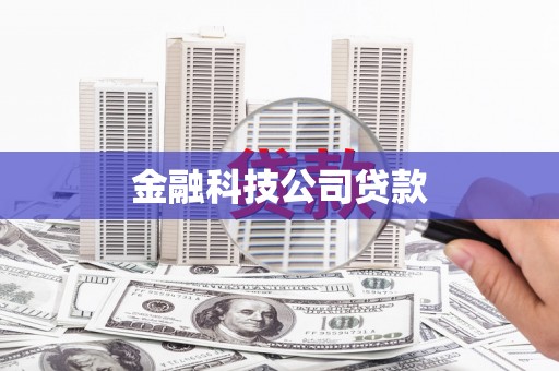 高树金融科技公司贷款