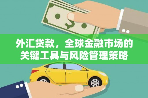 高树外汇贷款，全球金融市场的关键工具与风险管理策略