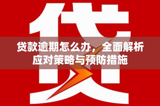 高树贷款逾期怎么办，全面解析应对策略与预防措施