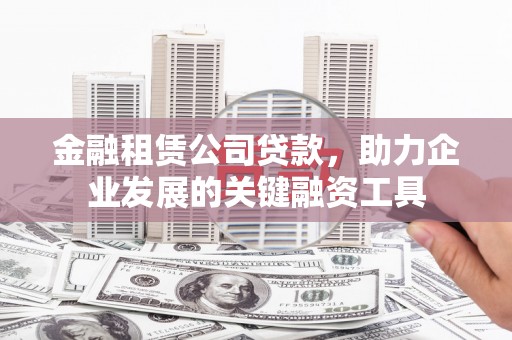 高树金融租赁公司贷款，助力企业发展的关键融资工具