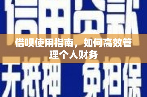 高树借呗使用指南，如何高效管理个人财务