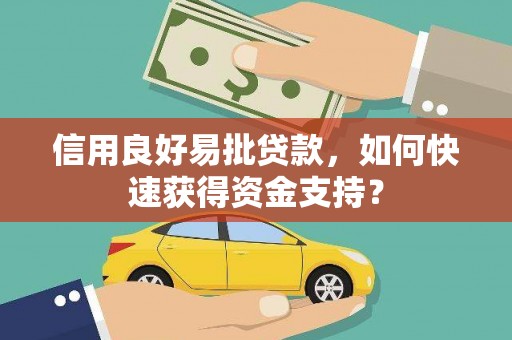 高树信用良好易批贷款，如何快速获得资金支持？