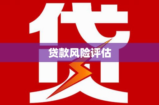 高树贷款风险评估