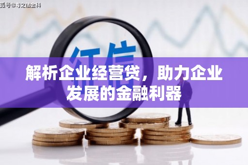 高树解析企业经营贷，助力企业发展的金融利器