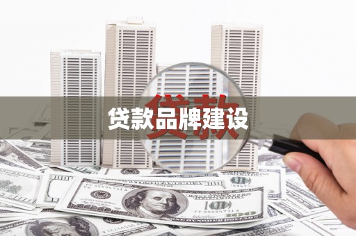 高树贷款品牌建设