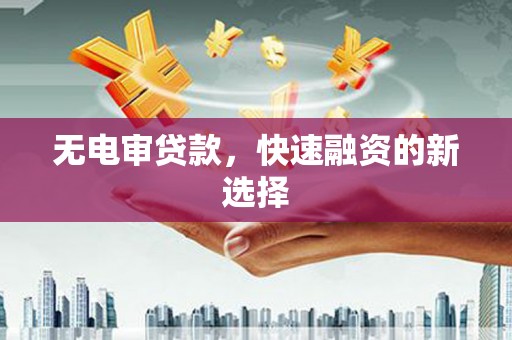 高树无电审贷款，快速融资的新选择