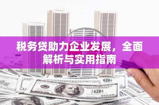 高树税务贷助力企业发展，全面解析与实用指南