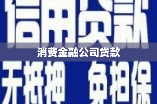 高树消费金融公司贷款