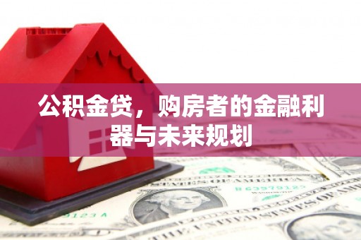 高树公积金贷，购房者的金融利器与未来规划