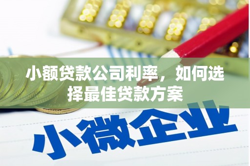 高树小额贷款公司利率，如何选择最佳贷款方案