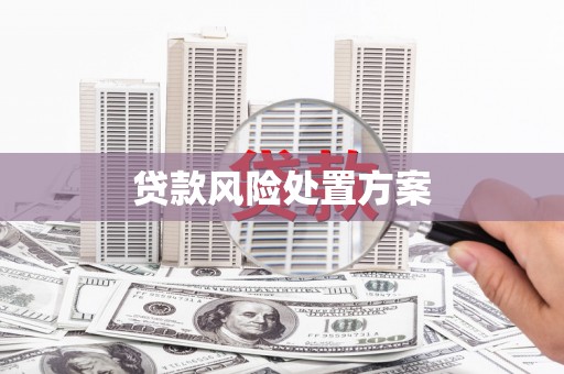 高树贷款风险处置方案