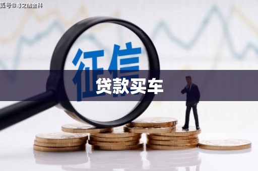 高树贷款买车
