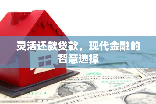 高树灵活还款贷款，现代金融的智慧选择