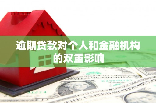 高树逾期贷款对个人和金融机构的双重影响