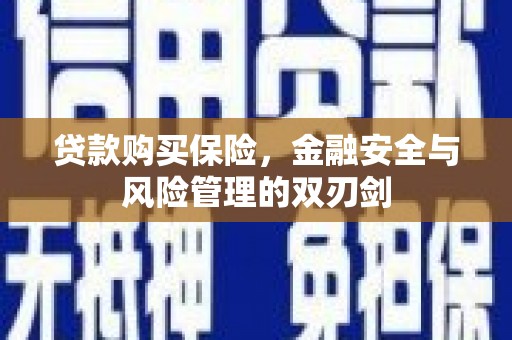 高树贷款购买保险，金融安全与风险管理的双刃剑
