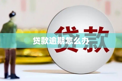 高树贷款逾期怎么办