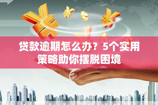 高树贷款逾期怎么办？5个实用策略助你摆脱困境