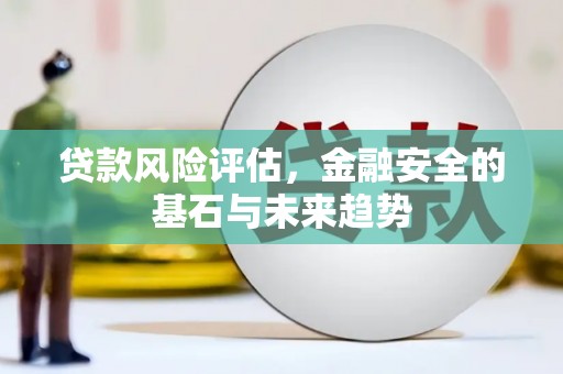 高树贷款风险评估，金融安全的基石与未来趋势
