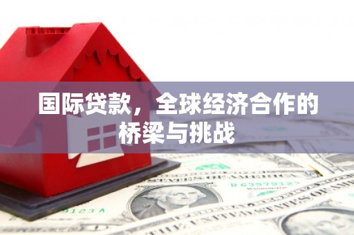高树国际贷款，全球经济合作的桥梁与挑战