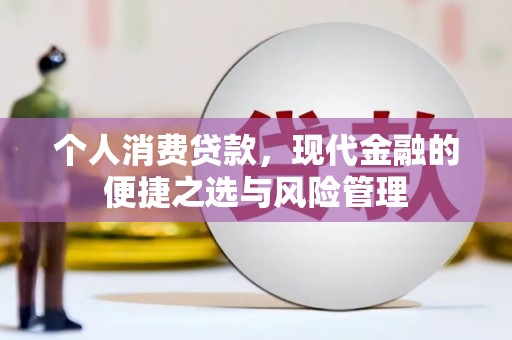 高树个人消费贷款，现代金融的便捷之选与风险管理