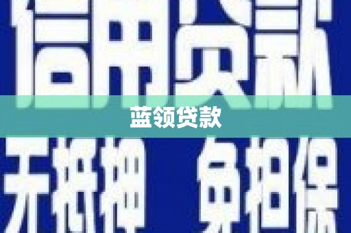 高树蓝领贷款
