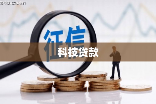 高树科技贷款
