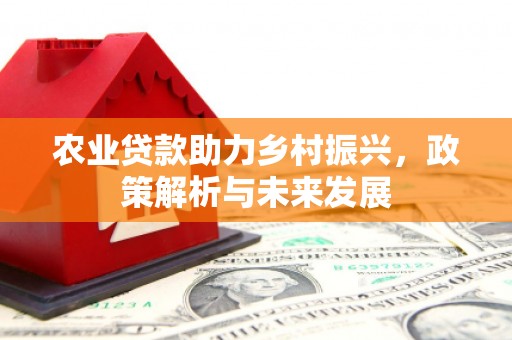 高树农业贷款助力乡村振兴，政策解析与未来发展