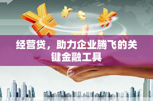 高树经营贷，助力企业腾飞的关键金融工具