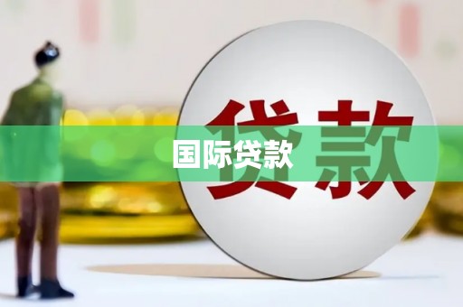 高树国际贷款