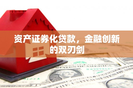 高树资产证券化贷款，金融创新的双刃剑