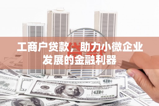高树工商户贷款，助力小微企业发展的金融利器