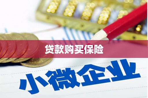 高树贷款购买保险