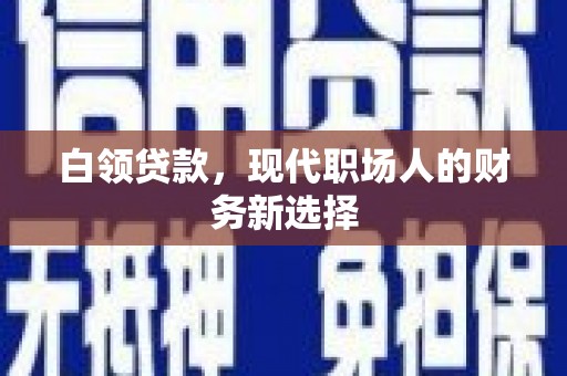 高树白领贷款，现代职场人的财务新选择