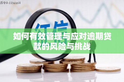 高树如何有效管理与应对逾期贷款的风险与挑战