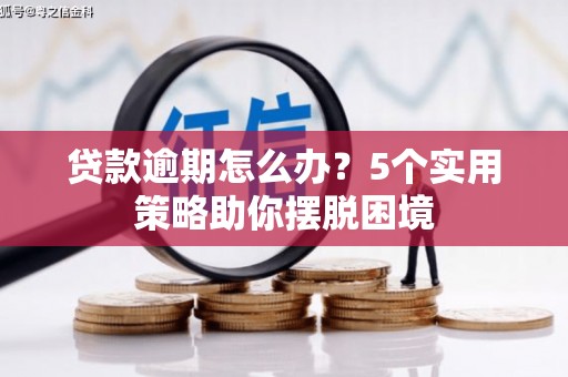 高树贷款逾期怎么办？5个实用策略助你摆脱困境