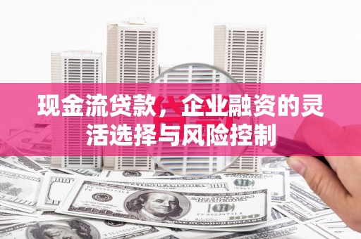 高树现金流贷款，企业融资的灵活选择与风险控制