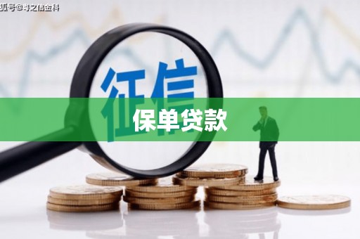 高树保单贷款