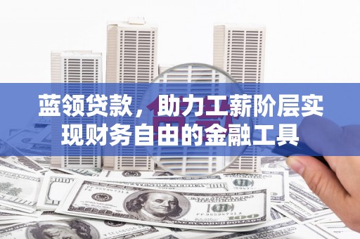 高树蓝领贷款，助力工薪阶层实现财务自由的金融工具