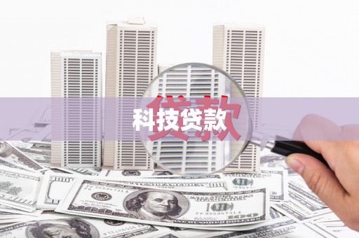 高树科技贷款