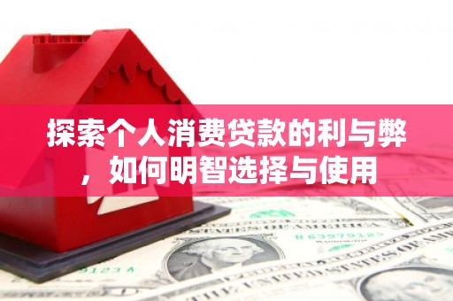 高树探索个人消费贷款的利与弊，如何明智选择与使用