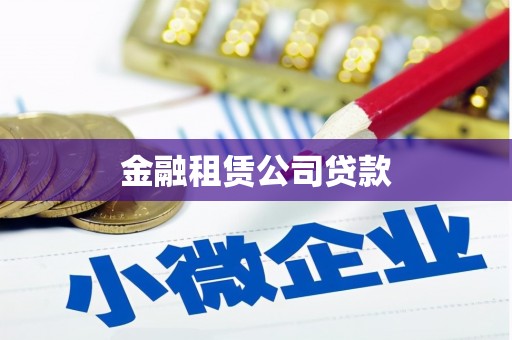 高树金融租赁公司贷款