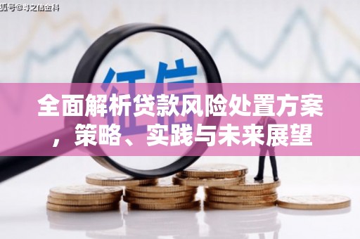 高树全面解析贷款风险处置方案，策略、实践与未来展望